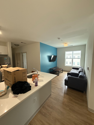 Living area (Kitchen to the left) - 4BR/2BA Premium Summer Months (June & July)