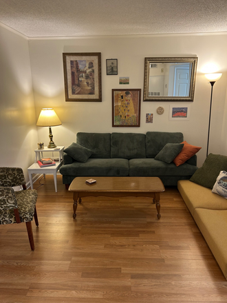 Living Room - Condo- 2 bedroom, 2 bath, secure parking, edge of Vanderbilt campus