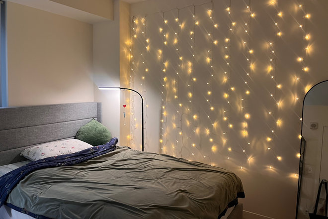 Bed - Clean Safe Apt Winter Sublet