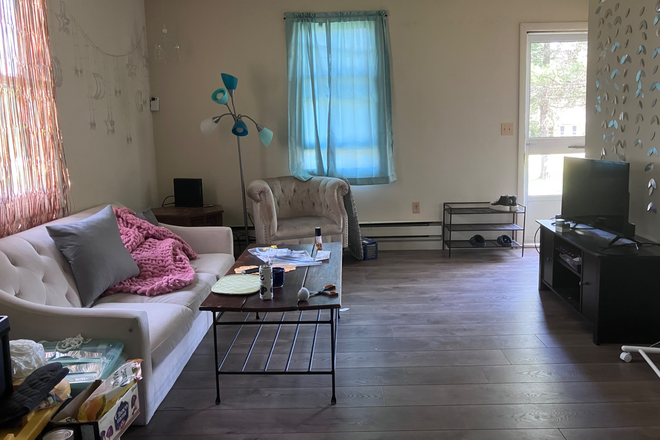 living room - Umass bus - Amherst- One bedroom apartment