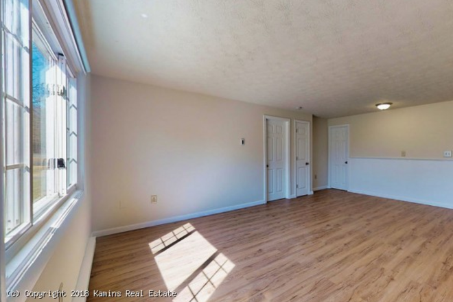 Large living room - 1 Bedroom Apt on PVTA Line, close to UMass & Amherst College