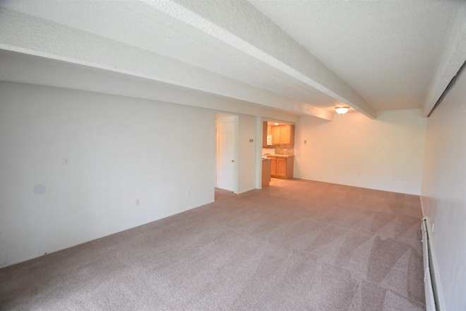 Living Room - 1 Bed / 1 Bath (Mountain view, Close to Campus)