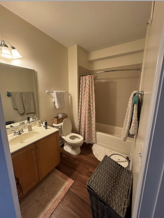 bathroom - Smith’s Landing