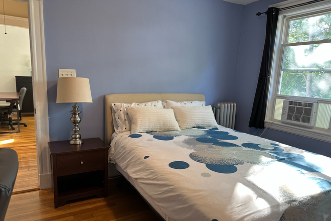 middle bedroom - Furnished Room in beautiful home for male tenant, near BC, BU; bus to Harvard and Longwood