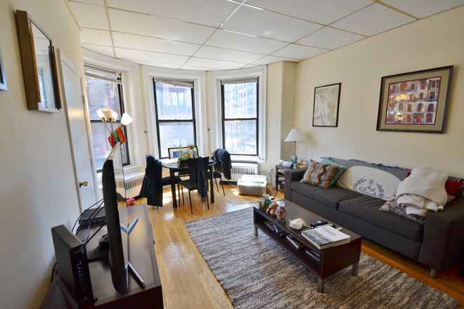 Living room - Bright & Cozy 1 Bed / 1 Bath on 409 Marlborough St — Avail 9/1/26 · Text/Call 385-722-7303 Apartments