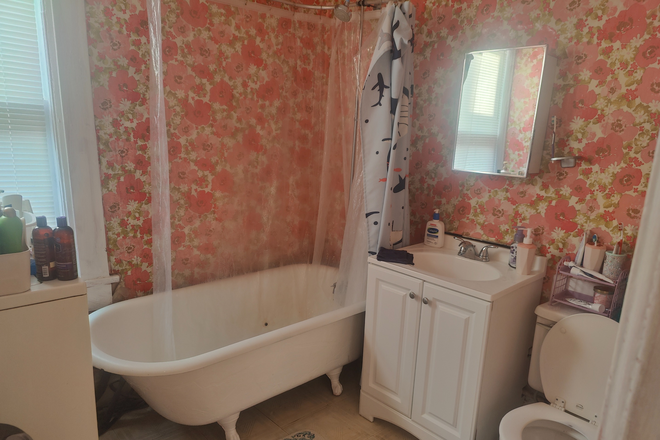 Bathroom - Subleting bedroom in 3 Br/1 bath shared housing