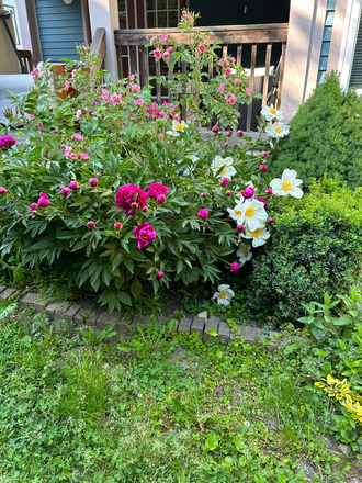 outside - Luxury townhouse near NEU w parking - Summer Sublet or Lease in September