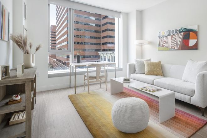 Living room - one bedroom apartment