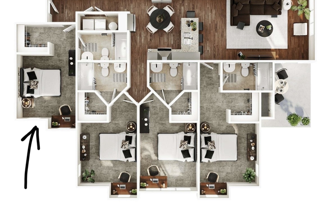 FloorPlan - Arcadia Student Living