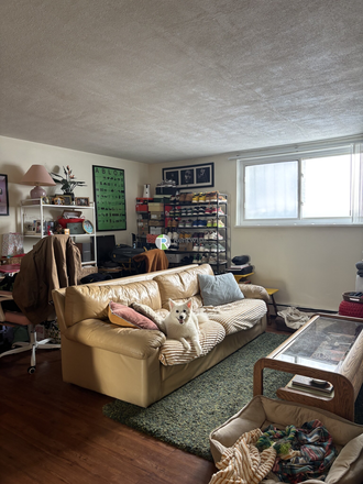 1 - March 2026-Spacious Garden Level 1 bed, H/HW/Parking inc. NO FEE! Apartments