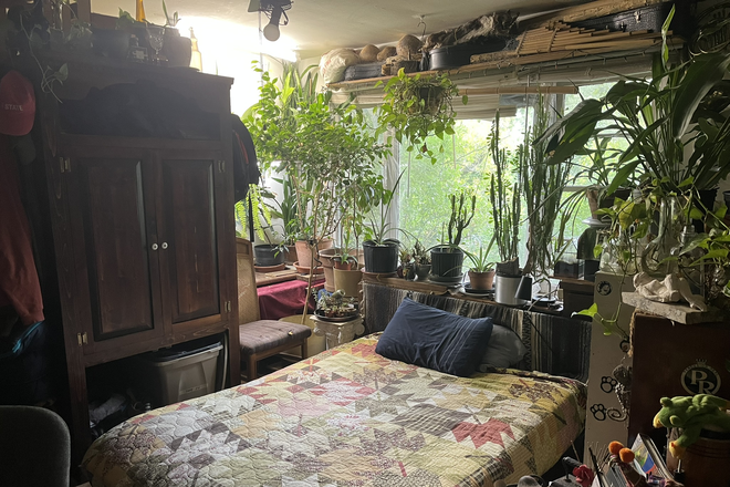 bedroom - One bedroom in a 3-bedroom house