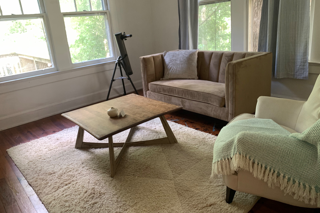 Livingroom - Beautiful quiet and sunny 1 bedroom apartment