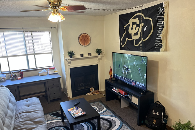 Living Room - 1135 Pennsylvania Ave, Lease starting anytime over winter break! Apartments