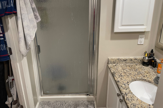 bathroom - Rodgers Forge