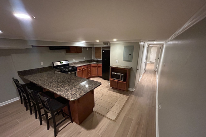 Kitchen/Hall with new floor - Modern one-bedroom Charles Village apartment