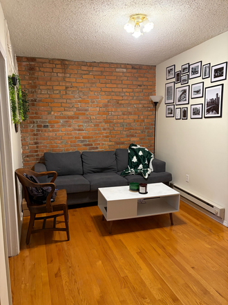 Living room - 171 Hemenway St