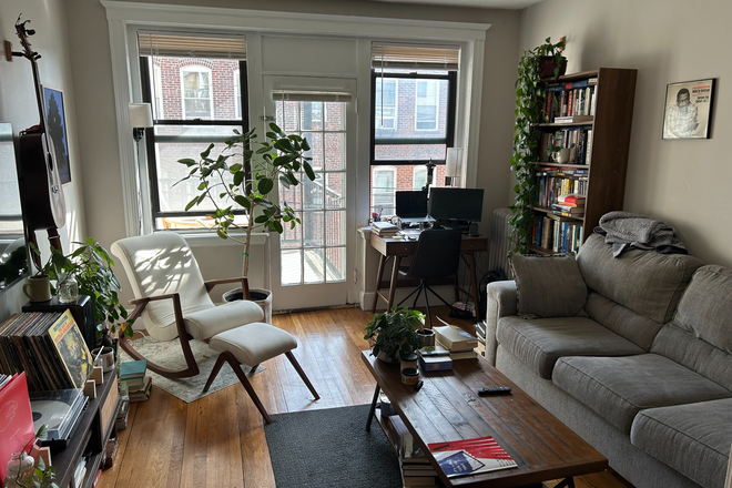 Living room - Summer Sublet 1 bedroom Brookline/Brighton