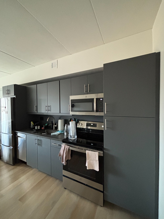 Kitchen (stainless steel appliances, full-sized refrigerator, electric over/range, dishwasher, microwave) - Studio Apartment on Campus