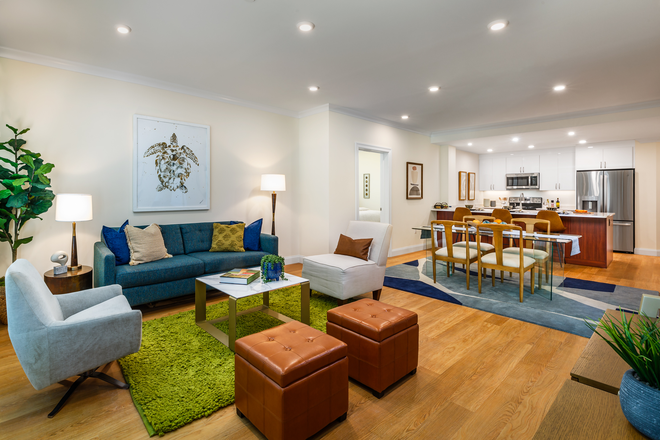 `1 - SEPT 2026 | Brookline 2 Bed, 2 Bath | Central AC | In-Unit Laundry | Pet Friendly! | No Broker Fees