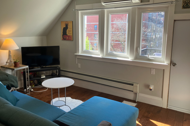 South-facing windows - Large Bedroom in 2-Bedroom Top Floor Apartment