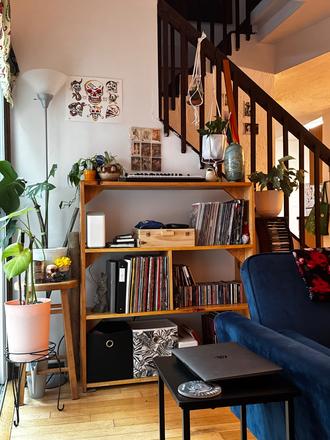 Living room - Shared student house