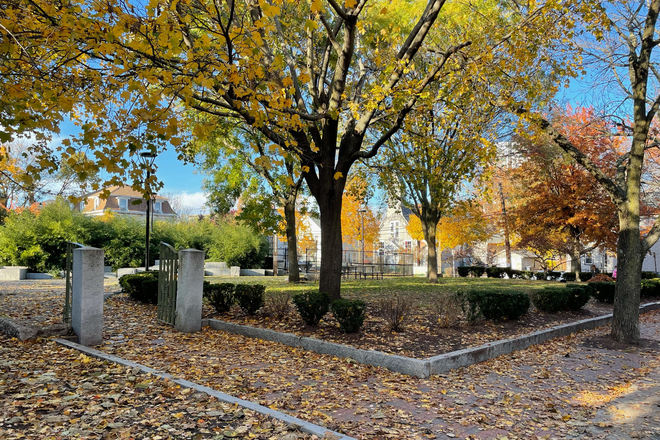 Park across street - 4 bedroom large apartment with great sunlight; updated kitchen and bathroom and porch. very close t
