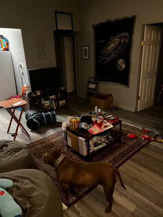 Living room - Sublet! Private room on west side of Iowa city House