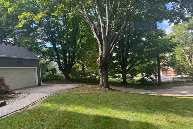 front yard - Hillside House