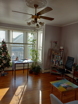 Living Room - Large sunny 2 BR 2nd floor, nice view & private porch, parking, near East Side