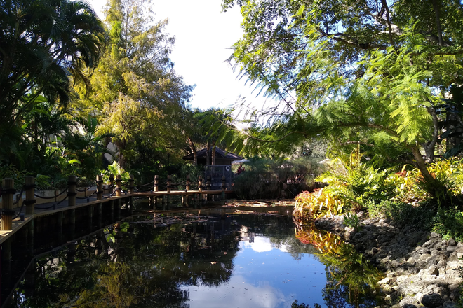 outside - Beautiful Home Close to FAU Campus