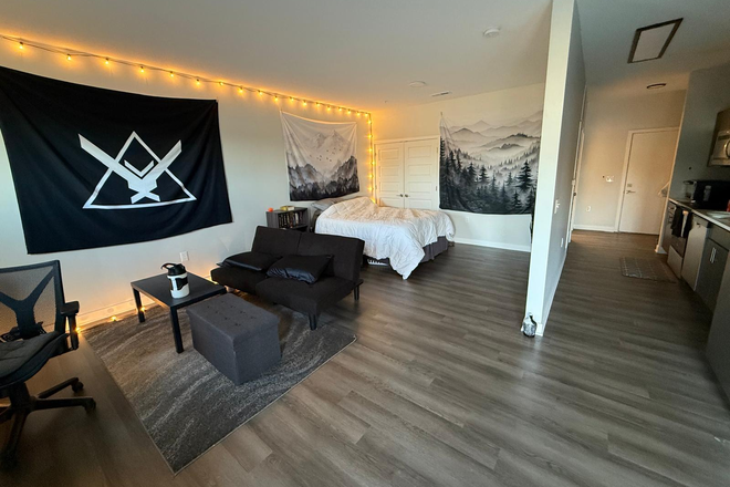 Current living room - Wabash Lofts Jan. Re-let Studio