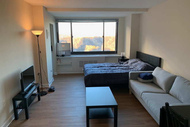 Overall - Fully Furnished large studio . Beautiful Fully furnished large studio!! Apartments