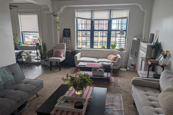 Shared living room 1 - Furnished Room w/ Private Bath Available in 2bd/2ba near NU campus (Downtown Evanston)