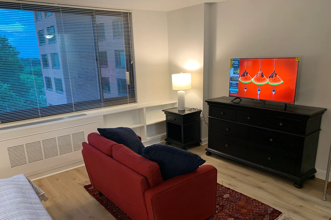 Living area - Beautiful Fully Furnished Rosslyn Studio in River Place South #510 Arlington VA