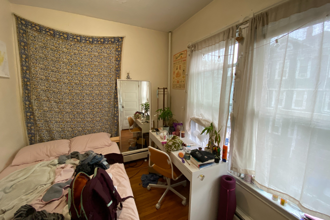 apartment - NEU/ 3 bedroom Apartments