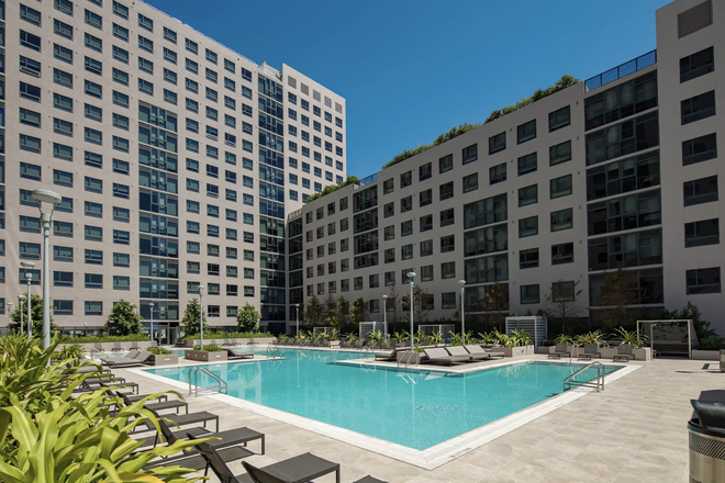 Pool view - The One at University City Apartments