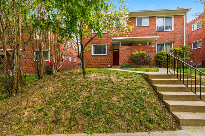 View from Webster St NE - ½ Mile to Catholic U | Safe, Renovated 3BR | All Utilities Included | Off-Street Parking Apartments