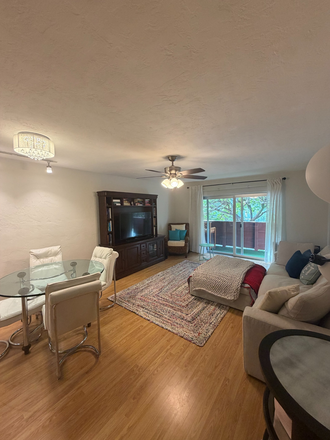 Living Room - HUGE 1 bed / 1.5 bath walking distance to UM Campus & University Metro Stop FULLY FURNISHED