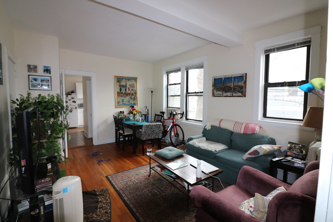 living room - Spacious North Brookline 1 bed with office for 9/1 - NO FEE!