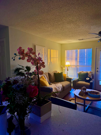 Beautiful Living Room - CampusWalk 1 Furnished Room in 2 BR Apartment- Walk to Class in 10 MINUTES