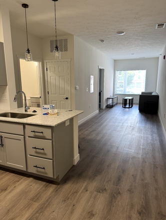 Kitchen/Living Area - Weida on Waldron Single Apartment