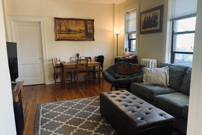 living room - Charming and sunny North Brookline 1 bed for 8/1 - NO FEE!