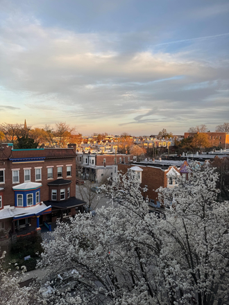View - Telephone Building