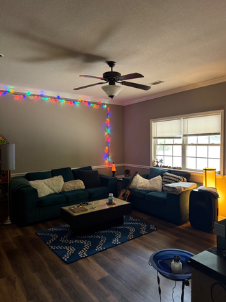 Living room - 105 Live Oak Rd - Beautiful Duplex Duplex