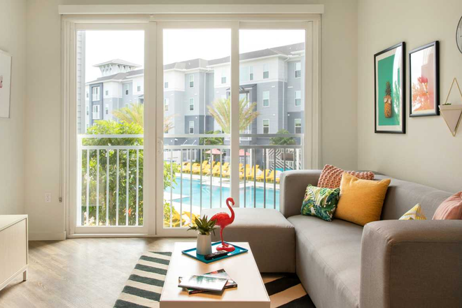 Living Room - Private Room in a 4x4 (6-month FALL lease) Apartments
