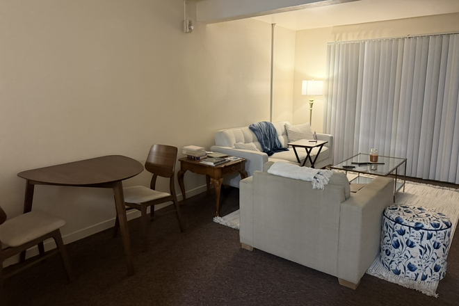 Living Room - FEMALE ONLY: Verano Place Graduate Housing Apartment