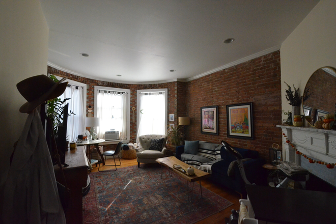 Living Room - Stunning 1 Bedroom on Marlborough St - Available 9/1/26 Apartments