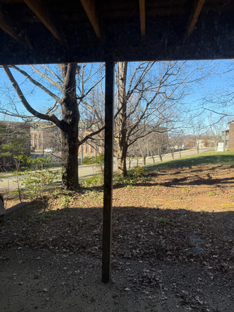 Outside street view from the lower level deck. Every floor has a balcony - Beautiful renovated 3 Bedroom Townhome next to Darden, UVA LAW and Football Ground - available pe