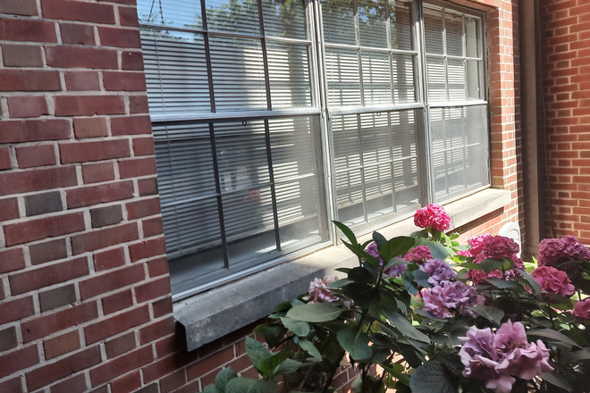 Bedroom window from outside - Cosy, Convenient. Complete 1BR FULLY FURNISHED & EQUIPPED, PRIVATE ENTRY, PARKING PLACE