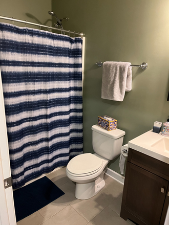 Downstairs bath - Amazing 3Br, 4Ba house in quiet neighborhood